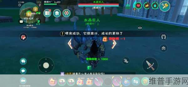 创造与魔法如何获取鸡蛋全面介绍