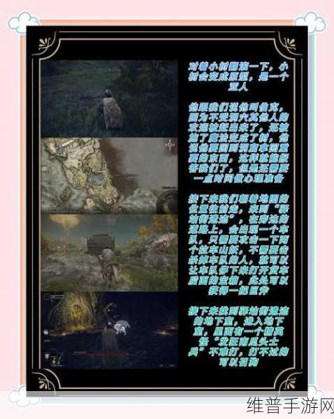 艾尔登法环，掌握大范围AOE技能，征服交界地的秘诀