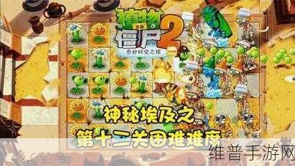 埃及植物大战僵尸第十二关通关秘籍，策略与技巧并重