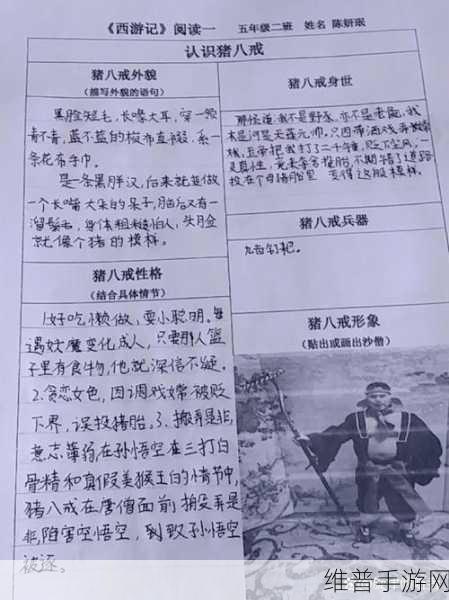 王者荣耀猪八戒深度玩法指南，掌握坦克霸主的战斗艺术
