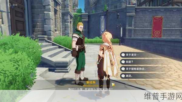原神冒险指南,深入解析冒险就要朝着远方任务方法