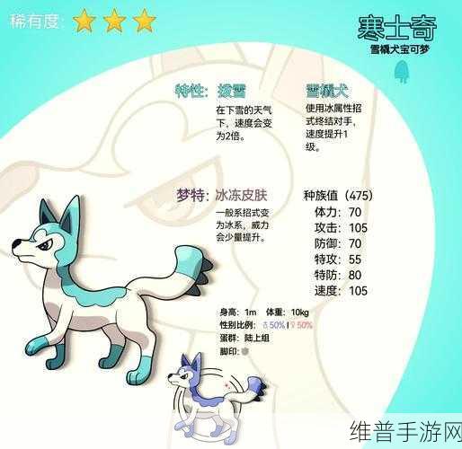 冰原守卫者巨龙全解析，探索北境之地的神秘伙伴