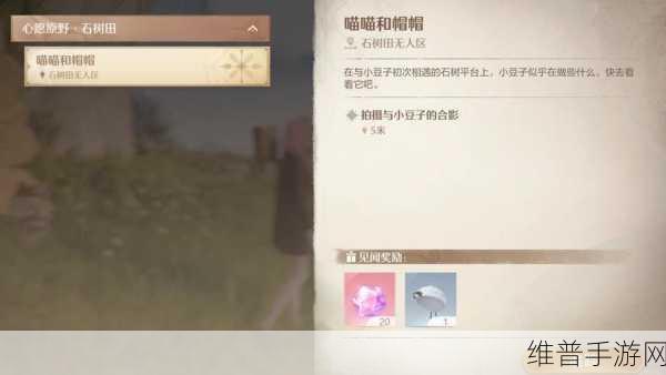 无限暖暖迷题空间，石树田遗忘者北边解密全攻略