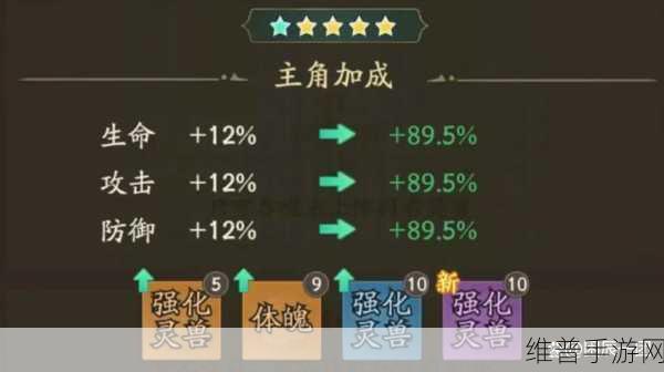 寻道大千最终减伤属性攻略深度解析