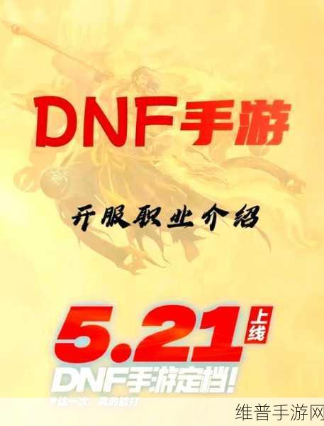DNF917版本深度解析,玩家攻略指南!哪个职业将成为你的制胜之选?