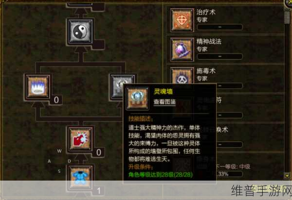 传奇世界手游道士职业技能深度解析与攻略