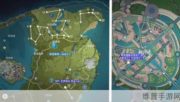 原神白萝卜收集攻略,位置汇总与高效采集技巧
