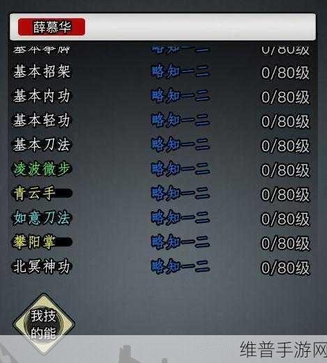 放置江湖中暗器门派的风云变幻录,深度攻略与门派解析