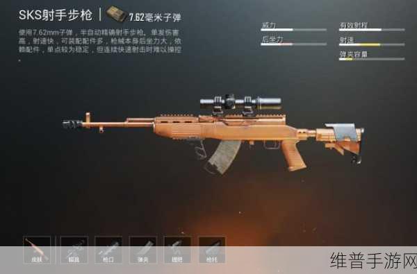 萤火突击SKS深度改装攻略，解锁战场利器