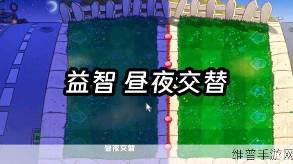 植物大战僵尸，高效利用指令搭建游戏策略梯度的深度解析