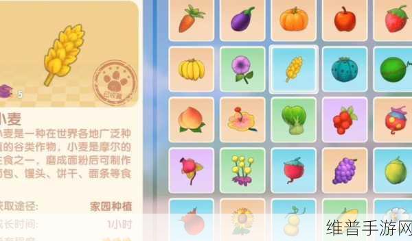 摩尔庄园手游铜矿石获取全解析，助你轻松掌握资源采集秘诀