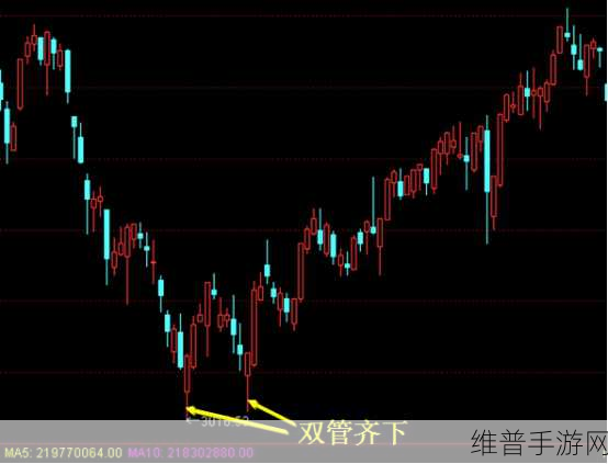 冰原守卫者突破60层塔挑战全攻略，策略技巧双管齐下