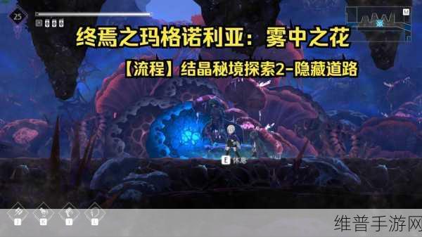 泰拉瑞亚黑曜石挖掘与获取全攻略，最新技巧与地点深度探索指南