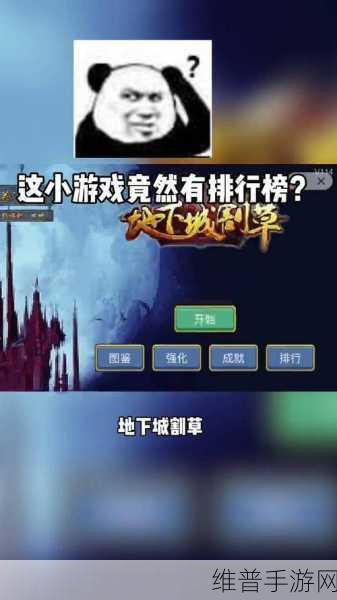 地下城割草空间之旅，全面攻略与获取指南