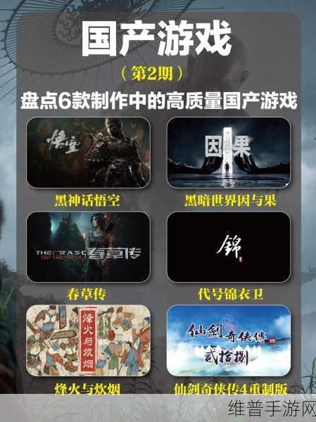 黑神话悟空4G显存能否畅玩？手游公司深度解析