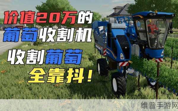 模拟农场深度攻略，葡萄种植全解析