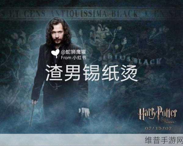 超级收纳馆秃然之间通关攻略详解，打造完美发型之旅