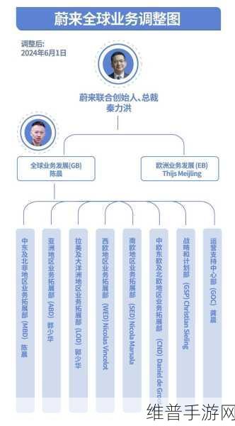 蔚来进军中东北非,手游公司全球化布局再加速的启示录