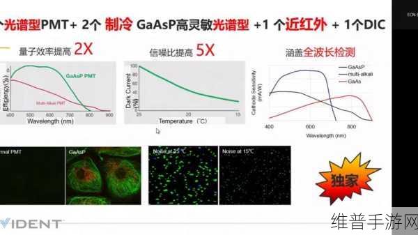手游攻略新境界,共聚焦激光显微镜图像处理技巧在手游数据分析中的应用