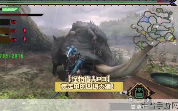 怪物猎人P3攻略，灵雀石与白鹭石的挖掘指南