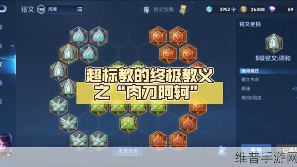 王者荣耀S8赛季深度解析，阿珂与兰陵王，谁才是顶尖刺客？