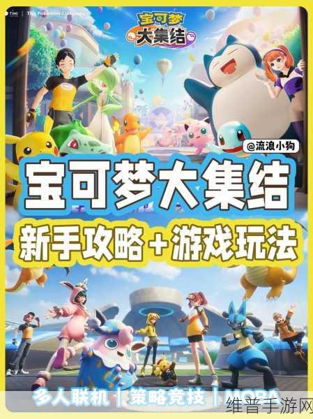 宝可梦大集结手游，全面解析快速升级策略