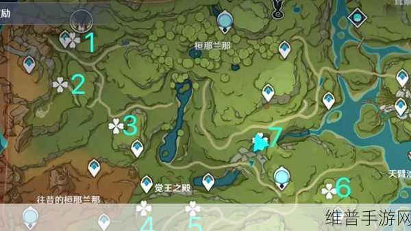 原神须弥森林树第四个隐藏任务全解析