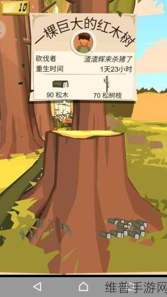 边境之旅松木速刷全攻略，揭秘松木哪里多与高效采集技巧