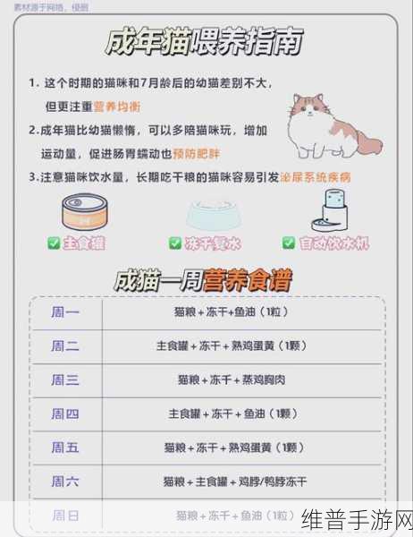 白猫计划据点1至3级升级全面攻略，所需材料及时间深度揭秘