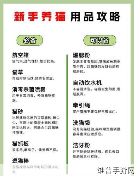 白猫计划据点1至3级升级全面攻略，所需材料及时间深度揭秘