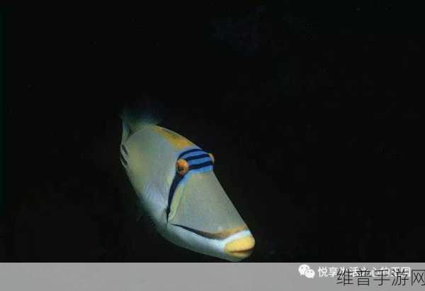 天谕手游生生不息任务攻略，煎饼扳机鱼完成方法详解