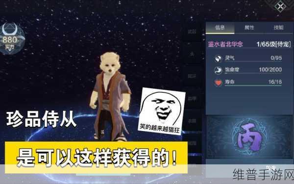 妄想山海超详细侍从技能书养成攻略，解锁强大侍从培养秘籍！