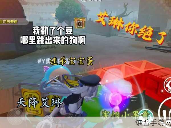 艾琳传奇深度解析，核心功能区揭秘与资源管理策略的艺术