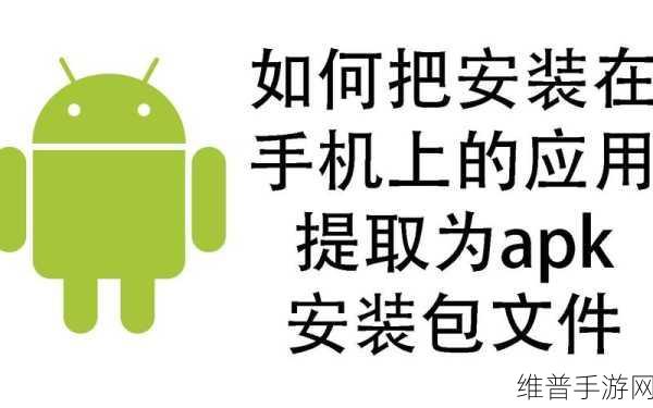 天下X天下安卓安装包，实现高效管理与价值最大化的实战策略