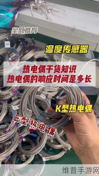 探索手游世界，揭秘不同环境下热电偶的精准温控表现
