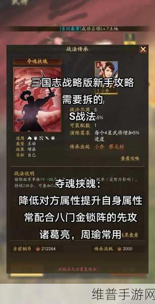 三国志战略版八门金锁阵战法深度解析与攻略