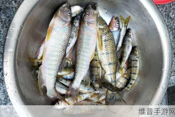和平精英宝石石斑鱼垂钓全攻略