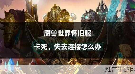 魔兽世界国服卡顿问题全解析，手游公司专业攻略