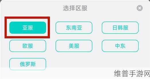 绝地求生手游攻略,优选加速器全解析