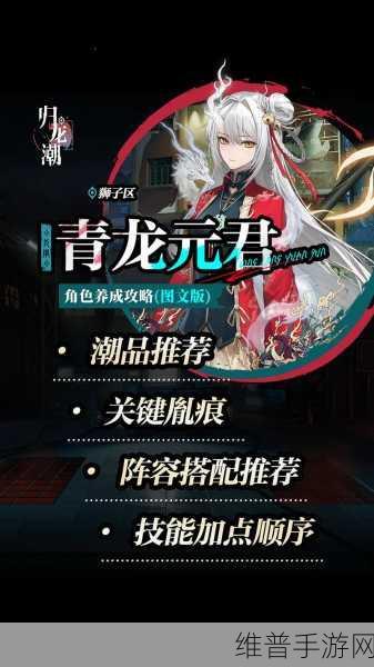 归龙潮光角色深度解析,战斗与养成全攻略