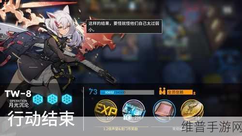 流浪方舟深度攻略，解锁兑换码使用秘籍与游戏制胜之道