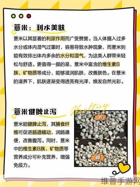 妄想山海养生法深度揭秘,薏苡粥的神奇健康功效