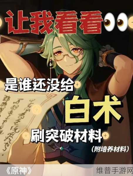 原神新角色白术突破材料全解析与高效获取攻略