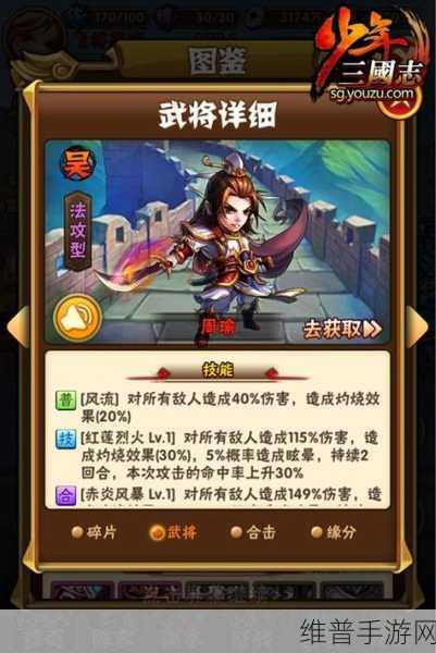 少年三国志周瑜金宠搭配策略，实现管理与价值最大化