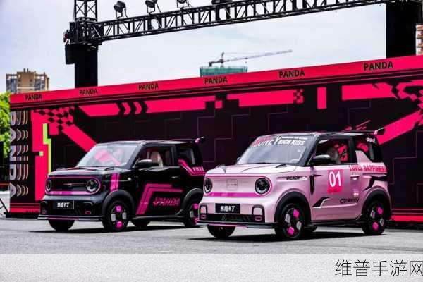 2025款吉利熊猫卡丁/骑士手游攻略，续航安全双升级，驰骋赛道无界限！