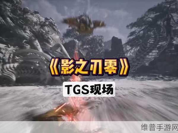 影之刃，深入探索究极召唤术的奇幻秘境全攻略