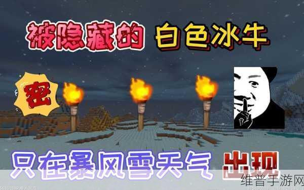 迷你世界深度攻略，探索迷你世界冰块的多样用途