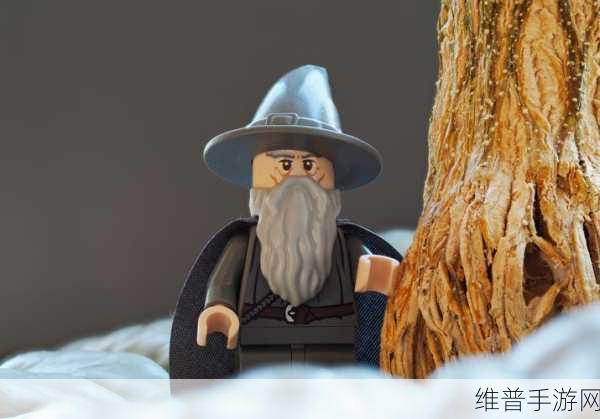 小兵的故事2,指环王深度攻略与数据分析
