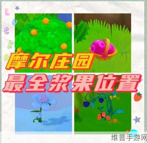 摩尔庄园手游白色浆果刷新时间全攻略