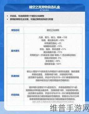 DNF年宠最佳选择引热议，哪个职业搭配最强势？深度解析与网友评价揭晓！